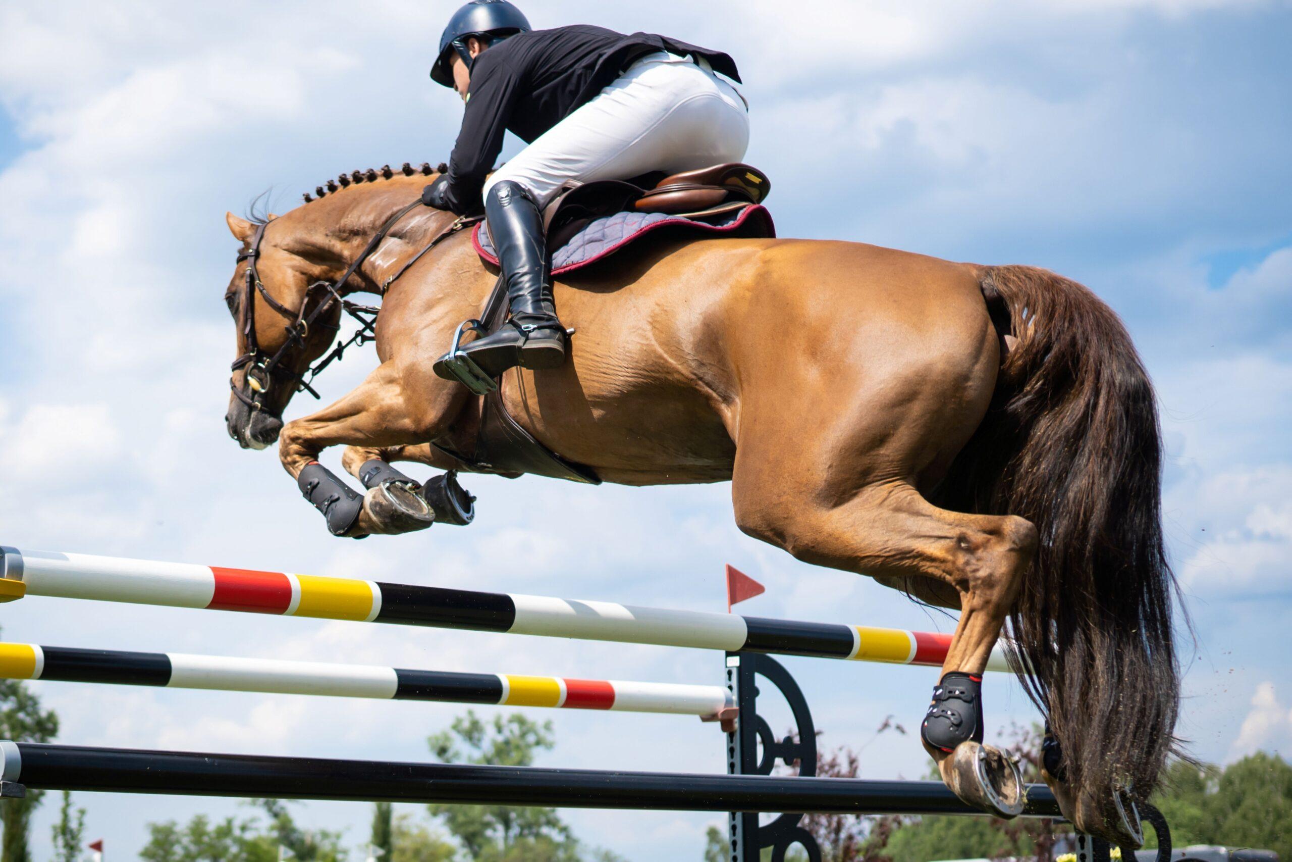 What Defines a Truly Competitive Athlete in the Arena